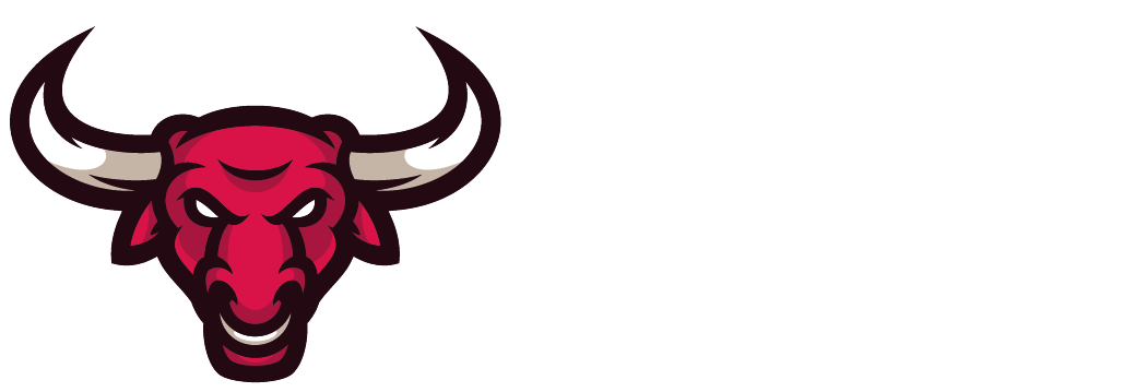 Bull Flow Logo